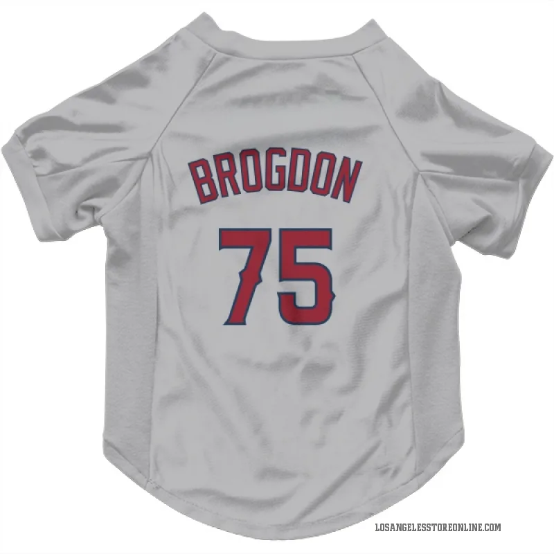 Connor Brogdon  Gray Los Angeles Angels  Cat & Dog Pet Jersey