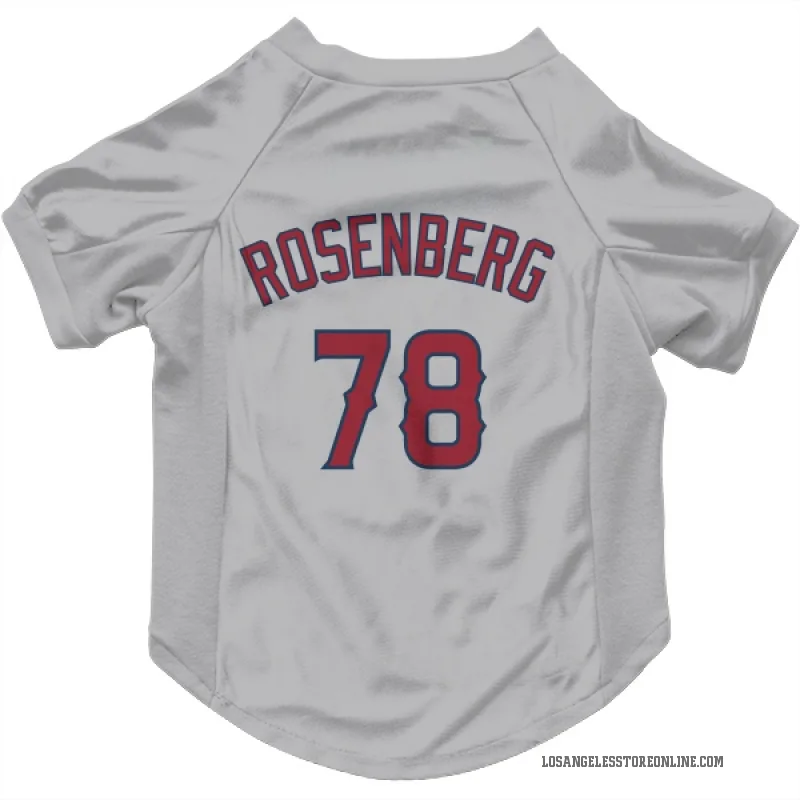 Kenny Rosenberg  Gray Los Angeles Angels  Cat & Dog Pet Jersey