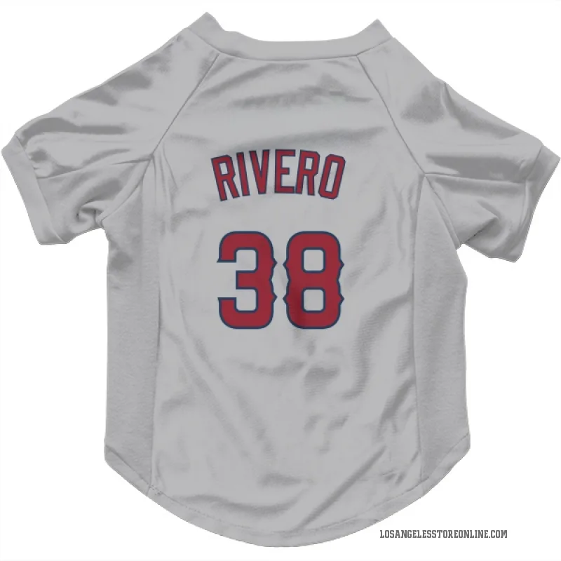 Sebastian Rivero  Gray Los Angeles Angels  Cat & Dog Pet Jersey